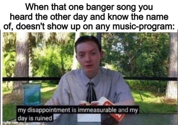 Aw man... what a bummer T-T | When that one banger song you heard the other day and know the name of, doesn't show up on any music-program: | image tagged in my dissapointment is immeasurable and my day is ruined | made w/ Imgflip meme maker