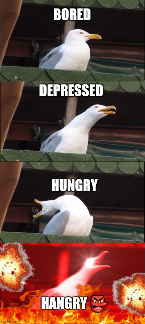Inhaling Seagull | BORED; DEPRESSED; HUNGRY; HANGRY 👺 | image tagged in memes,inhaling seagull | made w/ Imgflip meme maker