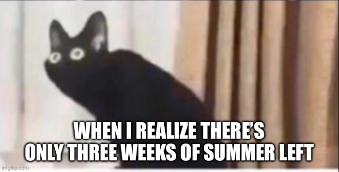SUMMER IS SLIPPING THROUGH OUR HANDS LIKE GRAINS OF SAND!!!! | WHEN I REALIZE THERE’S ONLY THREE WEEKS OF SUMMER LEFT | image tagged in oh no cat cropped | made w/ Imgflip meme maker