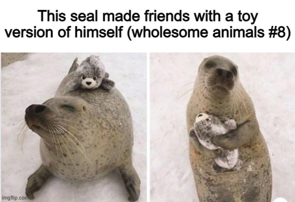 Satisfied seal version #2 | This seal made friends with a toy version of himself (wholesome animals #8) | made w/ Imgflip meme maker