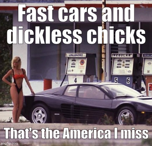 The best of times. | Fast cars and dickless chicks; That's the America I miss | image tagged in memes | made w/ Imgflip meme maker