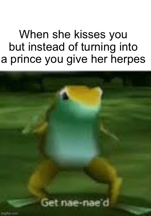 get nae naed | When she kisses you but instead of turning into a prince you give her herpes | image tagged in get nae naed | made w/ Imgflip meme maker