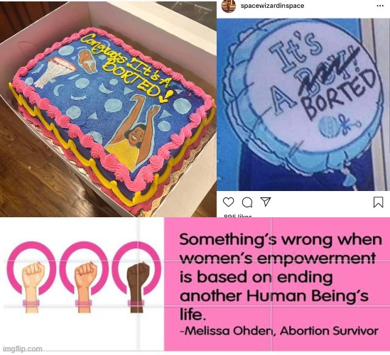 What's that LGBT quote? "More rights 4 me doesn't mean less rights 4 u. It's not pie." | image tagged in abortion is murder,sexism,lgbtq,empowerment,pie,human rights | made w/ Imgflip meme maker