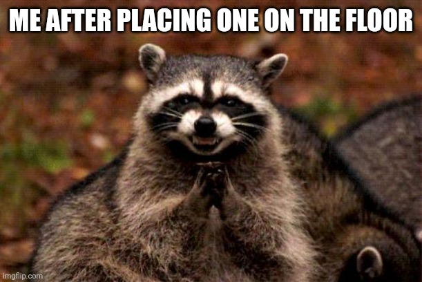 Evil Plotting Raccoon Meme | ME AFTER PLACING ONE ON THE FLOOR | image tagged in memes,evil plotting raccoon | made w/ Imgflip meme maker