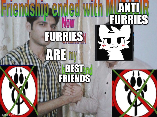 POV you become a furry (applies generally not to all) | ANTI FURRIES; FURRIES; ARE; BEST FRIENDS | image tagged in friendship ended | made w/ Imgflip meme maker