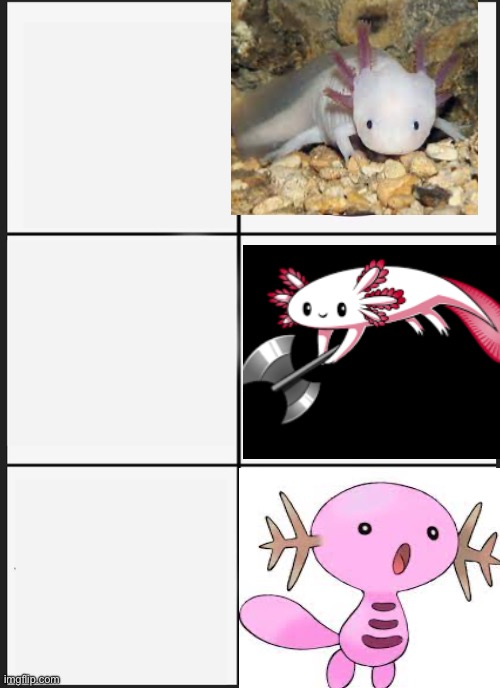 High Quality Axolotl Blank Meme Template