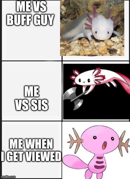 Fighting | ME VS BUFF GUY; ME VS SIS; ME WHEN I GET VIEWED | image tagged in axolotl | made w/ Imgflip meme maker