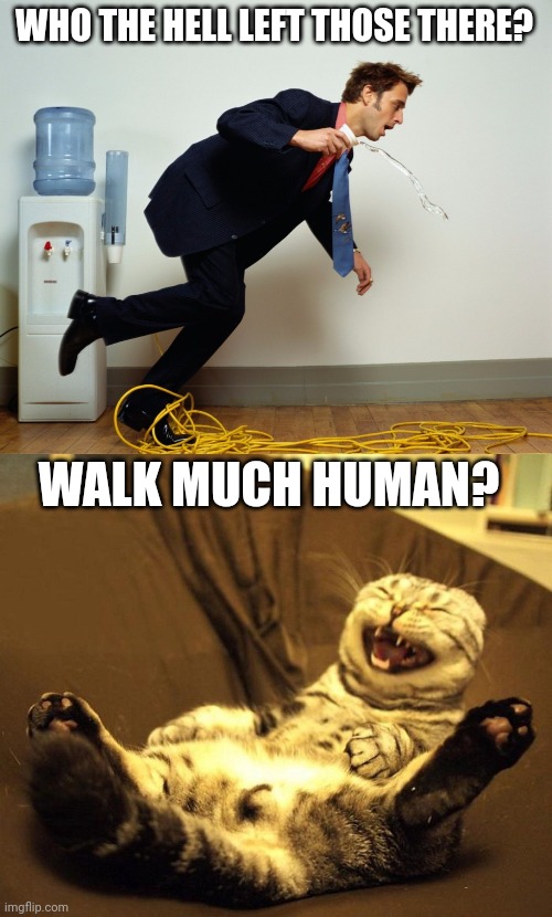 WHO THE HELL LEFT THOSE THERE? WALK MUCH HUMAN? | image tagged in human fall,laughing cat | made w/ Imgflip meme maker