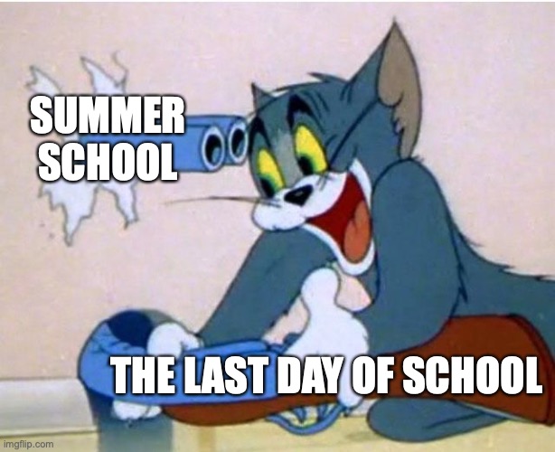 Tom and Jerry | SUMMER SCHOOL; THE LAST DAY OF SCHOOL | image tagged in tom and jerry | made w/ Imgflip meme maker