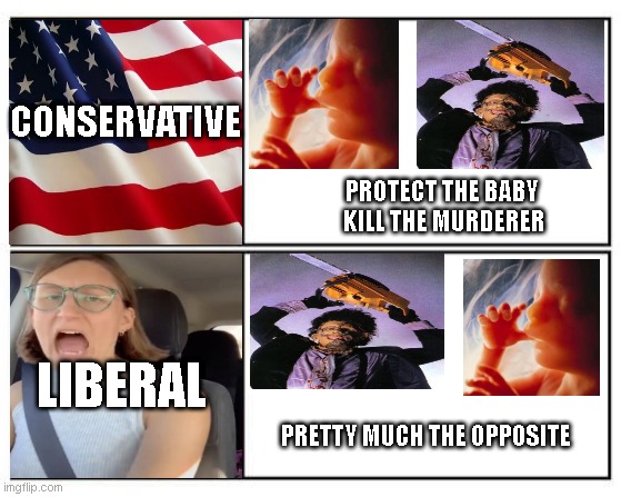 No - Yes | CONSERVATIVE; PROTECT THE BABY  KILL THE MURDERER; LIBERAL; PRETTY MUCH THE OPPOSITE | image tagged in no - yes | made w/ Imgflip meme maker