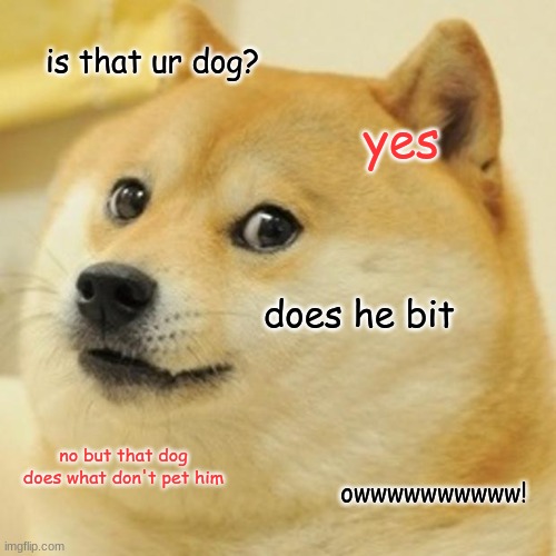 Doge Meme | is that ur dog? yes; does he bit; no but that dog does what don't pet him; owwwwwwwwww! | image tagged in memes,doge | made w/ Imgflip meme maker