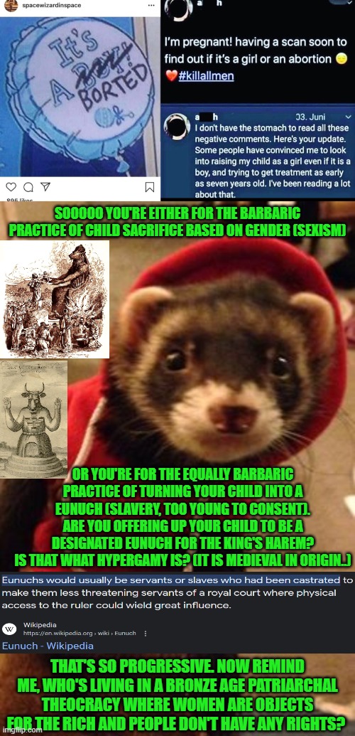 Eunuch Slavery or Child Sacrifice, This Redwall esque ferret in red hoodie would like to remind you what we left in the past. | SOOOOO YOU'RE EITHER FOR THE BARBARIC PRACTICE OF CHILD SACRIFICE BASED ON GENDER (SEXISM); OR YOU'RE FOR THE EQUALLY BARBARIC PRACTICE OF TURNING YOUR CHILD INTO A EUNUCH (SLAVERY, TOO YOUNG TO CONSENT).
ARE YOU OFFERING UP YOUR CHILD TO BE A DESIGNATED EUNUCH FOR THE KING'S HAREM?
IS THAT WHAT HYPERGAMY IS? (IT IS MEDIEVAL IN ORIGIN..); THAT'S SO PROGRESSIVE. NOW REMIND ME, WHO'S LIVING IN A BRONZE AGE PATRIARCHAL THEOCRACY WHERE WOMEN ARE OBJECTS FOR THE RICH AND PEOPLE DON'T HAVE ANY RIGHTS? | image tagged in soooooo,ferret,abortion,eunuch,slavery,absolutely barbaric | made w/ Imgflip meme maker