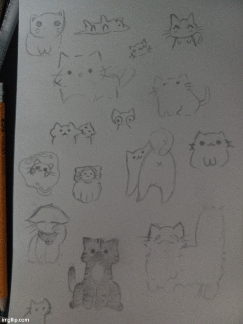 many cats | image tagged in cats,drawing | made w/ Imgflip meme maker
