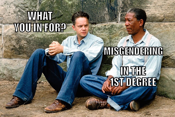 In the 1st degree. | WHAT YOU IN FOR? MISGENDERING; IN THE 1ST DEGREE | image tagged in what are you in for | made w/ Imgflip meme maker