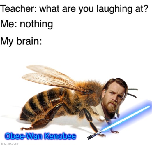 Yes | Obee-Wan Kenobee | image tagged in teacher what are you laughing at,honeybee,obi wan kenobi,obi-wan kenobi,obi wan,obi-wan | made w/ Imgflip meme maker