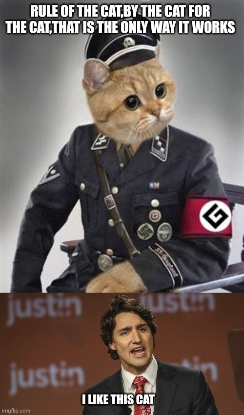 RULE OF THE CAT,BY THE CAT FOR THE CAT,THAT IS THE ONLY WAY IT WORKS; I LIKE THIS CAT | image tagged in grammar nazi cat,justin trudeau | made w/ Imgflip meme maker