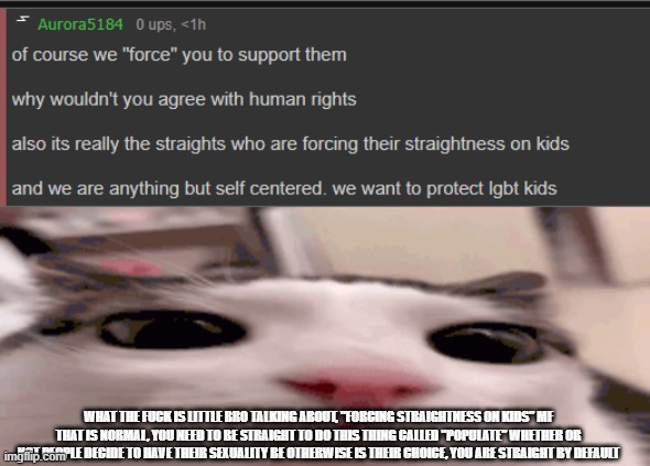 WHAT THE FUCK IS LITTLE BRO TALKING ABOUT, "FORCING STRAIGHTNESS ON KIDS" MF THAT IS NORMAL, YOU NEED TO BE STRAIGHT TO DO THIS THING CALLED "POPULATE" WHETHER OR NOT PEOPLE DECIDE TO HAVE THEIR SEXUALITY BE OTHERWISE IS THEIR CHOICE, YOU ARE STRAIGHT BY DEFAULT | image tagged in plink | made w/ Imgflip meme maker