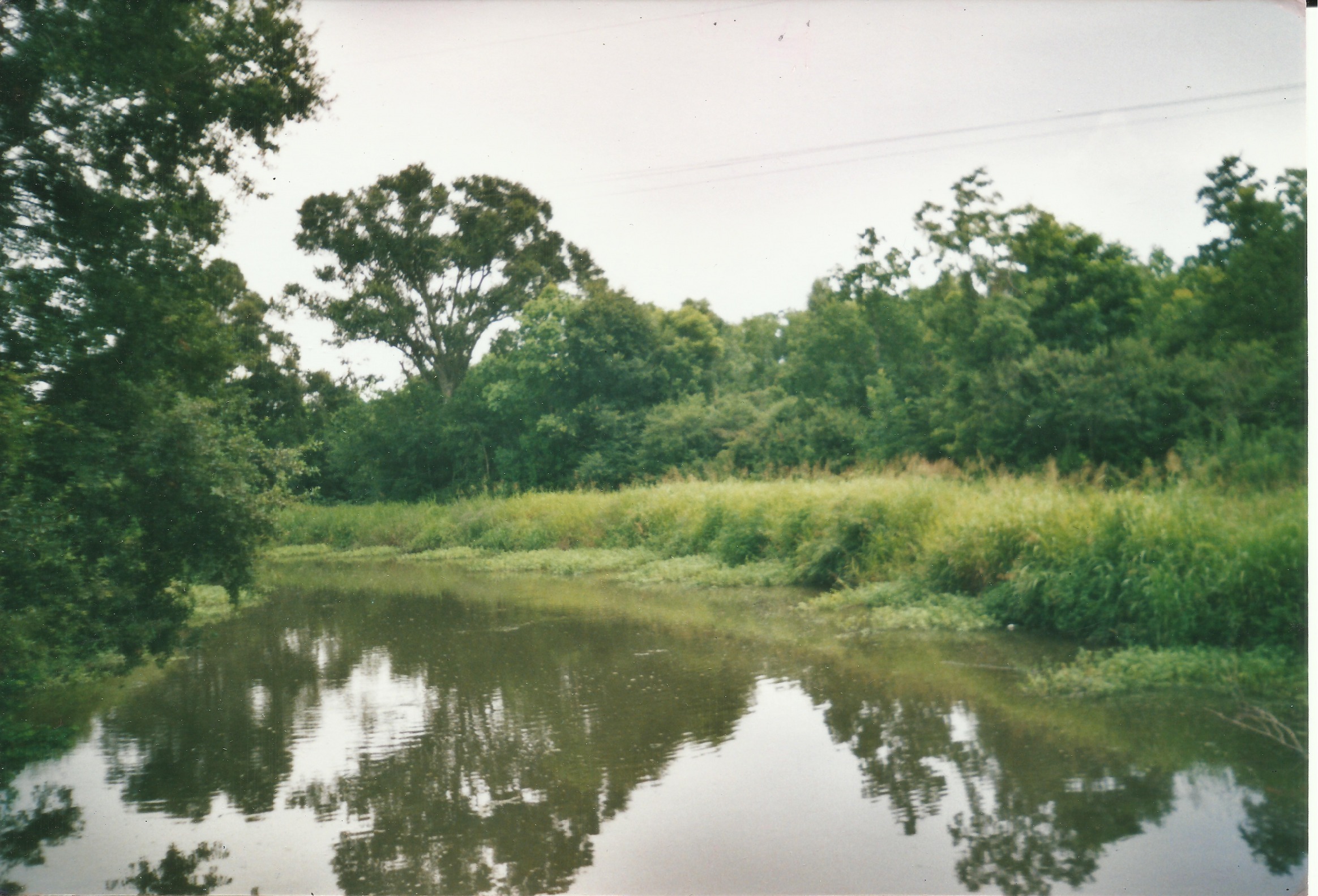 Young's South Coulee, Abbeville, LA Blank Meme Template