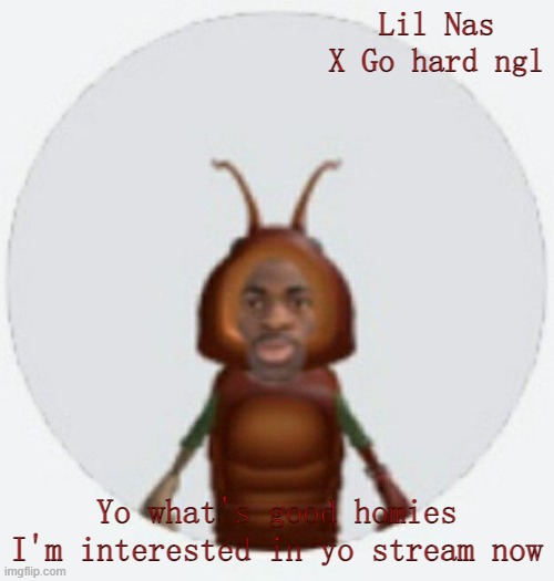 Ya'll seem like a nice lot | Lil Nas X Go hard ngl; Yo what's good homies I'm interested in yo stream now | image tagged in lil naz roach-x announcement temp | made w/ Imgflip meme maker