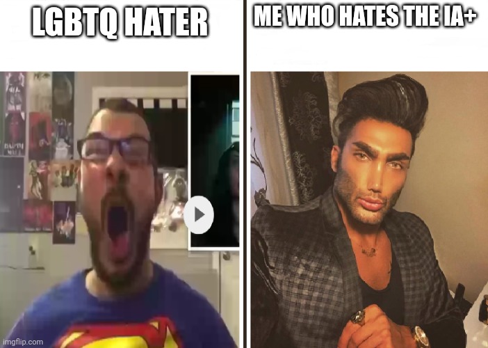 yeh but come on they then pronouns. Dumb | ME WHO HATES THE IA+; LGBTQ HATER | image tagged in average fan vs average enjoyer | made w/ Imgflip meme maker