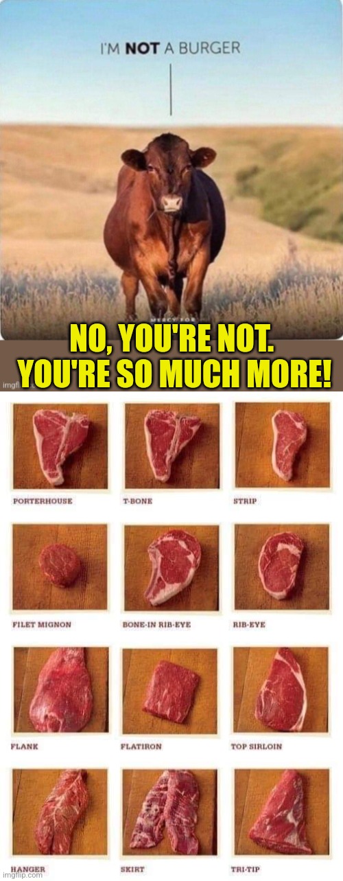 Got beef? | NO, YOU'RE NOT.  YOU'RE SO MUCH MORE! | image tagged in cows,beef,burgers,steak,meat,vegetarians | made w/ Imgflip meme maker