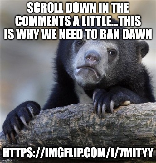 Confession Bear | SCROLL DOWN IN THE COMMENTS A LITTLE...THIS IS WHY WE NEED TO BAN DAWN; HTTPS://IMGFLIP.COM/I/7MITYY | image tagged in memes,confession bear | made w/ Imgflip meme maker