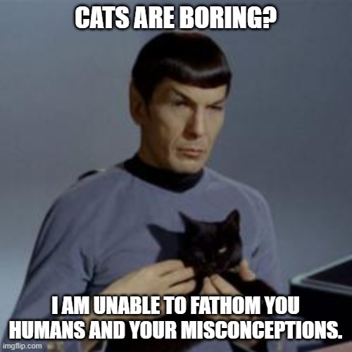 Spock and the Cat | CATS ARE BORING? I AM UNABLE TO FATHOM YOU HUMANS AND YOUR MISCONCEPTIONS. | image tagged in spock and the cat | made w/ Imgflip meme maker