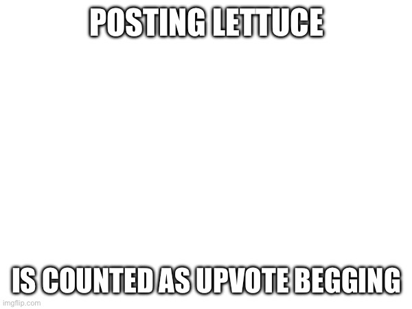 POSTING LETTUCE; IS COUNTED AS UPVOTE BEGGING | image tagged in oh wow are you actually reading these tags,stop reading the tags,why are you reading the tags | made w/ Imgflip meme maker