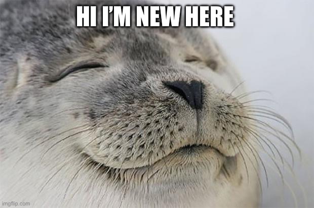Satisfied Seal | HI I’M NEW HERE | image tagged in memes,satisfied seal | made w/ Imgflip meme maker