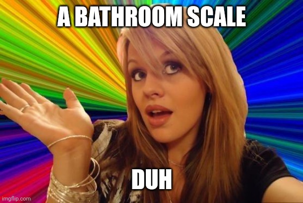 Dumb Blonde Meme | A BATHROOM SCALE DUH | image tagged in memes,dumb blonde | made w/ Imgflip meme maker