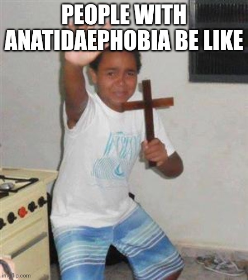 Scared Kid | PEOPLE WITH ANATIDAEPHOBIA BE LIKE | image tagged in scared kid | made w/ Imgflip meme maker