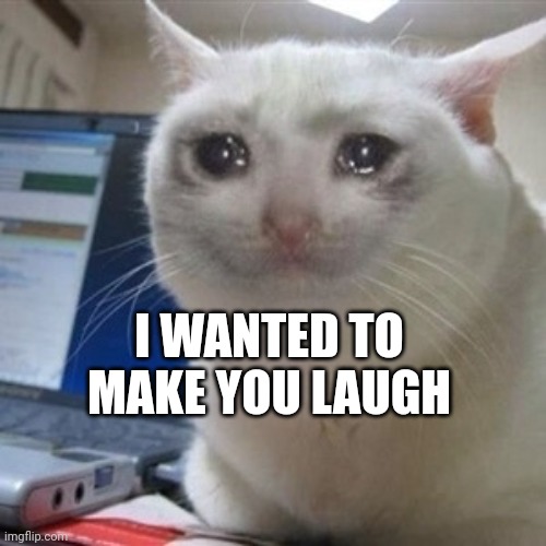 Crying cat | I WANTED TO MAKE YOU LAUGH | image tagged in crying cat | made w/ Imgflip meme maker