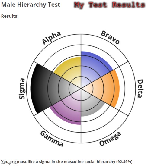 Inspired by Birdnerd01 to do the Male Hierarchy Test. This is what I was graded with. | My Test Results | made w/ Imgflip meme maker