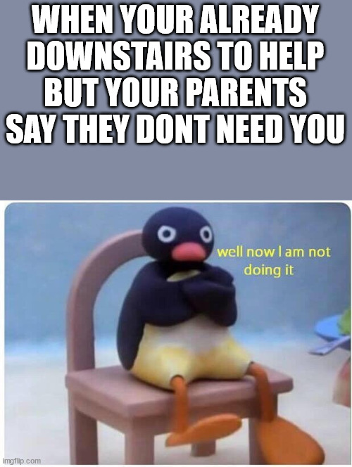 why dose it always happen | WHEN YOUR ALREADY DOWNSTAIRS TO HELP BUT YOUR PARENTS SAY THEY DONT NEED YOU | image tagged in well now i'm not doing it | made w/ Imgflip meme maker