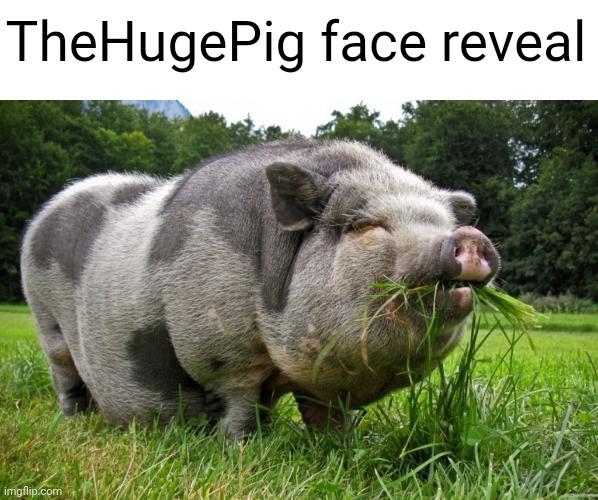 Meme #2,540 | TheHugePig face reveal | image tagged in real,reeal,re4l,reai,reall,r3al | made w/ Imgflip meme maker