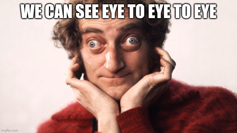 Lazy eye | WE CAN SEE EYE TO EYE TO EYE | image tagged in marty feldman strabico strabismo | made w/ Imgflip meme maker