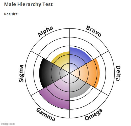 The Male Heirarchy was made up by libertarians to explain why they can't get a girlfriend, but I took the test anyway. | made w/ Imgflip meme maker