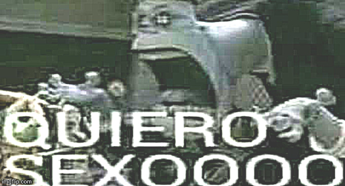 QUIERO SEXOOOO | image tagged in quiero sexoooo | made w/ Imgflip meme maker