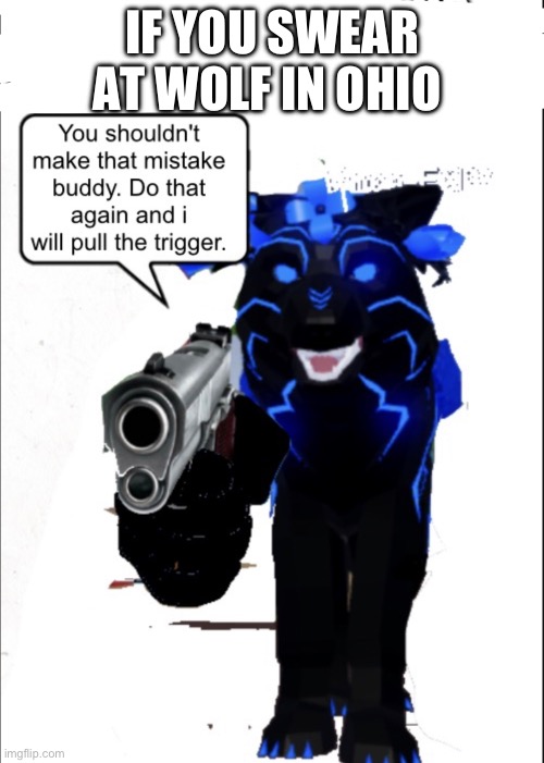 DON'T  CUSS AT HIM | IF YOU SWEAR AT WOLF IN OHIO | made w/ Imgflip meme maker