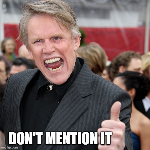 Gary Busey | DON'T MENTION IT | image tagged in gary busey | made w/ Imgflip meme maker