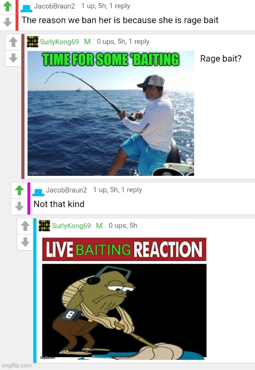 Stop baitin' | image tagged in baiting,rage,bait,but why why would you do that | made w/ Imgflip meme maker