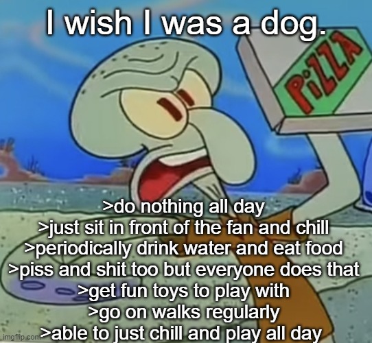 squidward mad | I wish I was a dog. >do nothing all day
>just sit in front of the fan and chill
>periodically drink water and eat food
>piss and shit too but everyone does that
>get fun toys to play with
>go on walks regularly
>able to just chill and play all day | image tagged in squidward mad | made w/ Imgflip meme maker