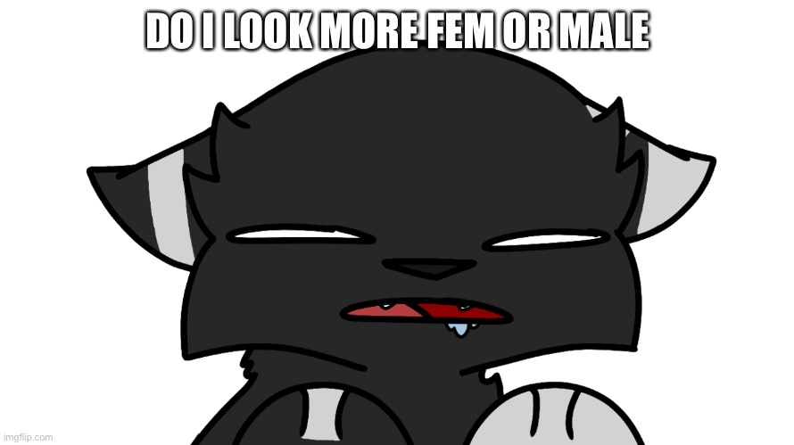 ??? | DO I LOOK MORE FEM OR MALE | image tagged in darkie confusion | made w/ Imgflip meme maker