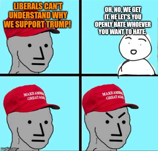 MAGA NPC (AN AN0NYM0US TEMPLATE) | OH, NO, WE GET IT. HE LET'S YOU OPENLY HATE WHOEVER YOU WANT TO HATE. LIBERALS CAN'T UNDERSTAND WHY WE SUPPORT TRUMP! | image tagged in maga npc an an0nym0us template | made w/ Imgflip meme maker