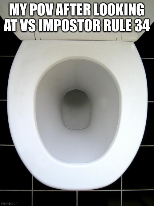 TOILET | MY POV AFTER LOOKING AT VS IMPOSTOR RULE 34 | image tagged in toilet | made w/ Imgflip meme maker