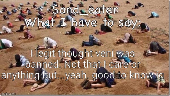 Sand_eater announcement | I legit thought veni was banned. Not that I care or anything but...yeah. good to know ig | image tagged in sand_eater announcement | made w/ Imgflip meme maker