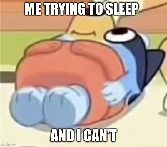 trying to sleep | ME TRYING TO SLEEP; AND I CAN'T | image tagged in bluey | made w/ Imgflip meme maker
