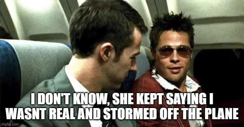 tyler | I DON'T KNOW, SHE KEPT SAYING I
WASNT REAL AND STORMED OFF THE PLANE | image tagged in tmfinr,girl,drunk,airplane | made w/ Imgflip meme maker