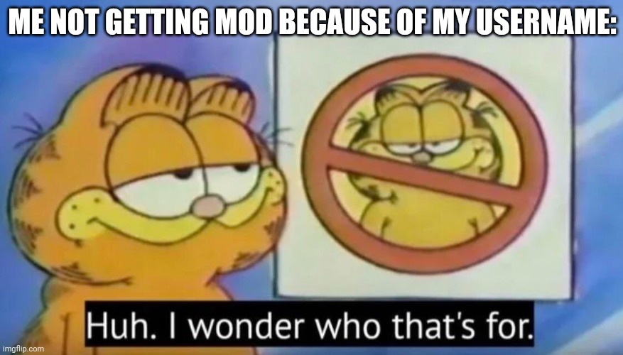 Huh, I wonder who thats for | ME NOT GETTING MOD BECAUSE OF MY USERNAME: | image tagged in huh i wonder who thats for | made w/ Imgflip meme maker