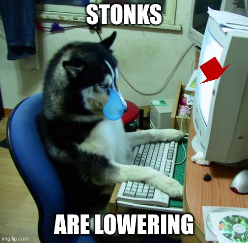 I Have No Idea What I Am Doing | STONKS; ARE LOWERING | image tagged in memes,i have no idea what i am doing | made w/ Imgflip meme maker